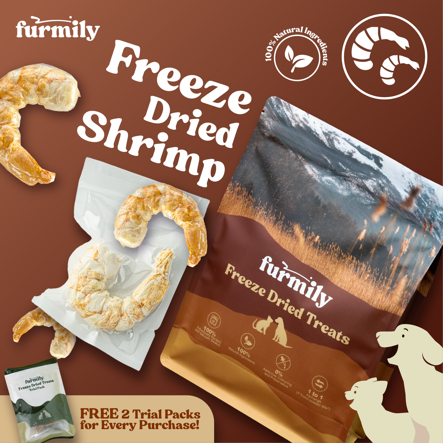 XL Shrimp