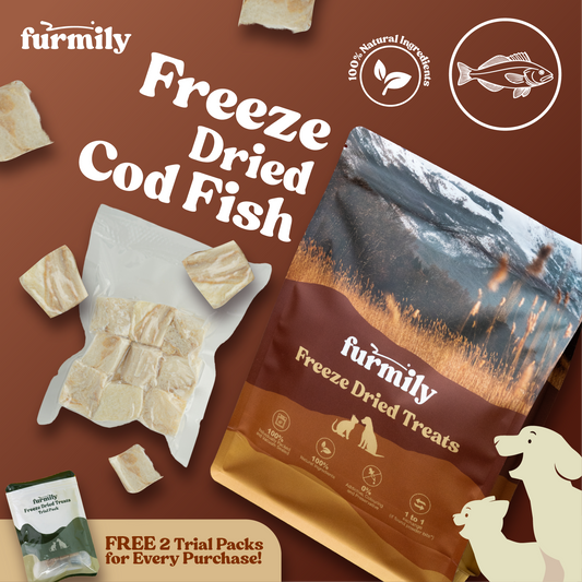 Cod Fish