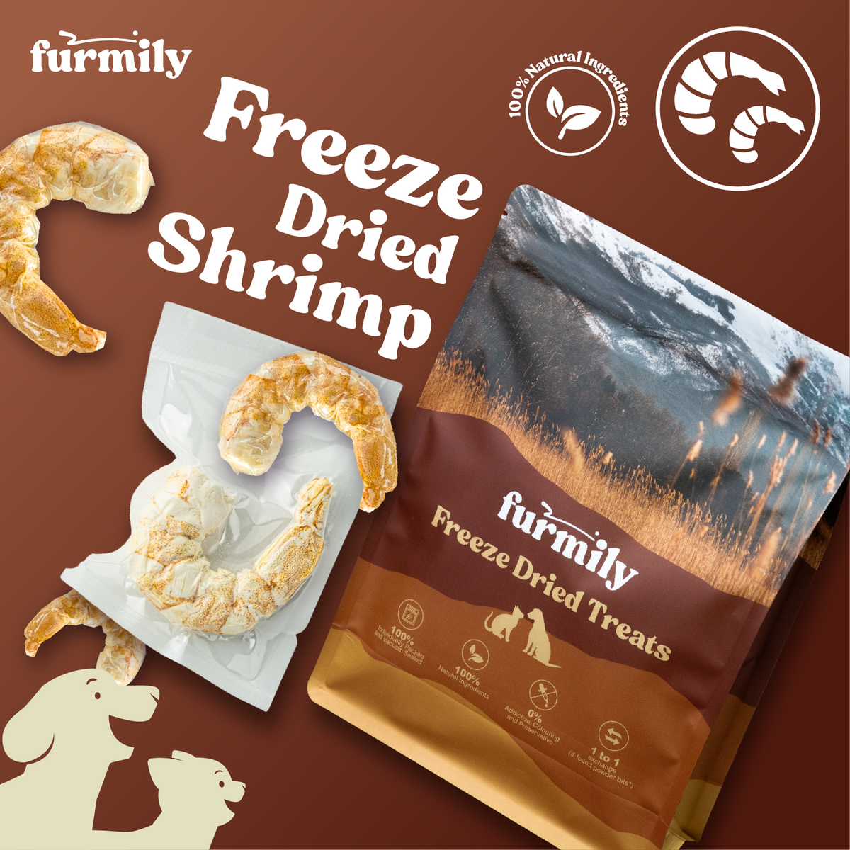 XL Shrimp