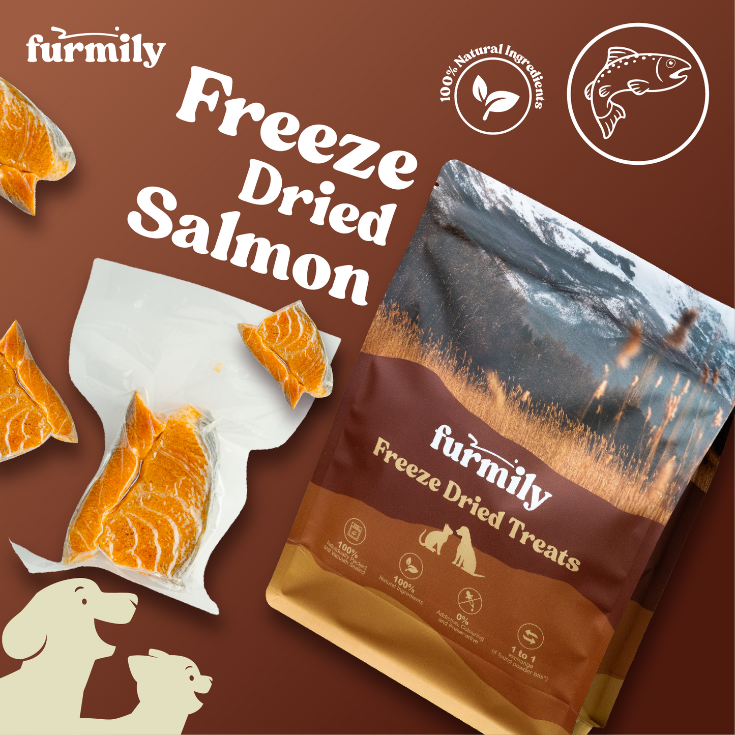 Salmon