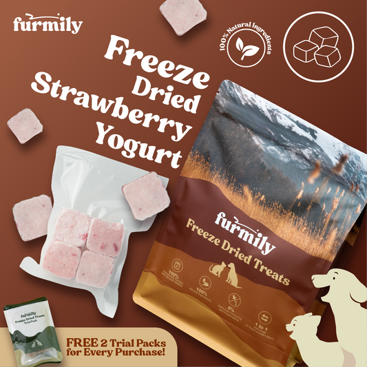 Strawberry Yogurt