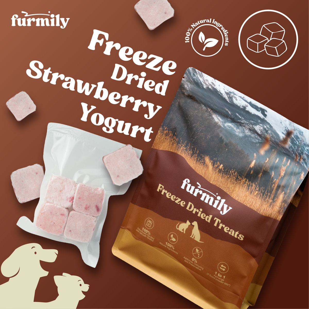 Strawberry Yogurt