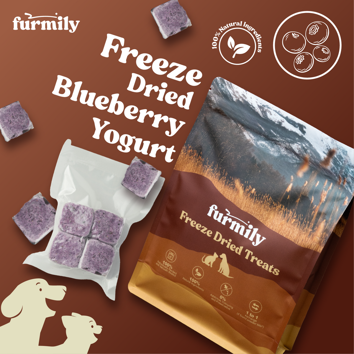 Blueberry Yogurt