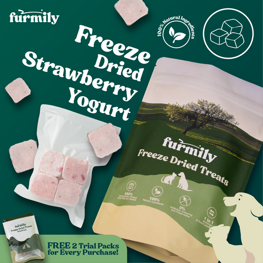 Strawberry Yogurt