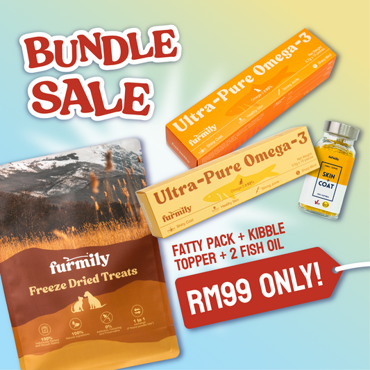 Daily Wellness Bundle