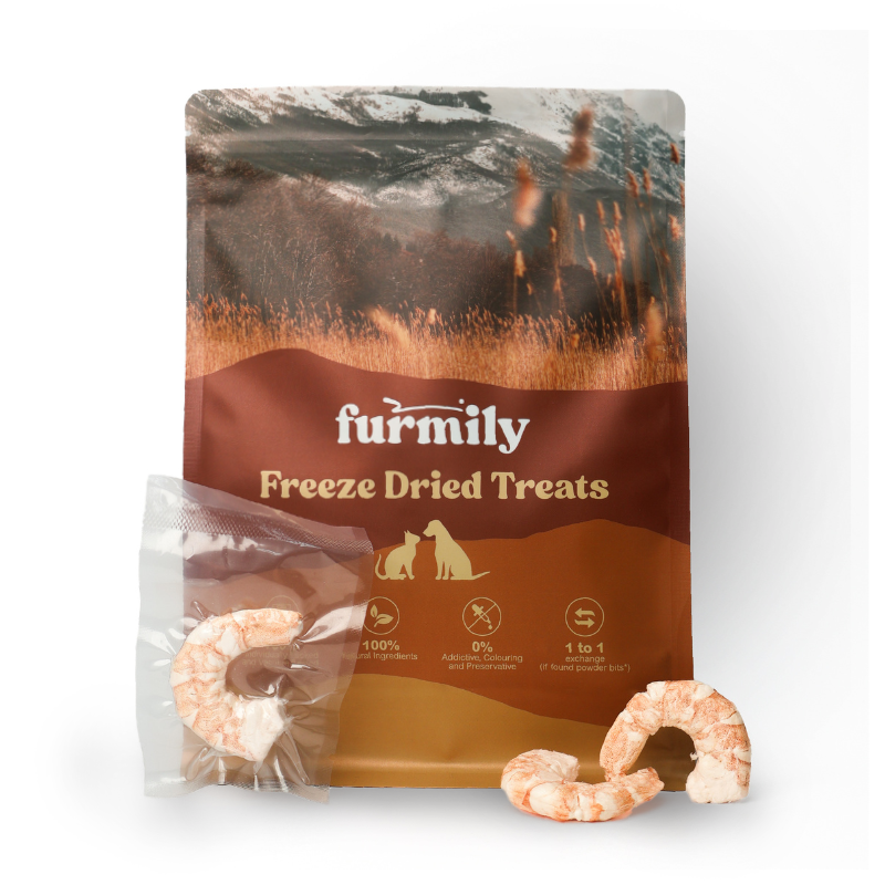 XL Shrimp