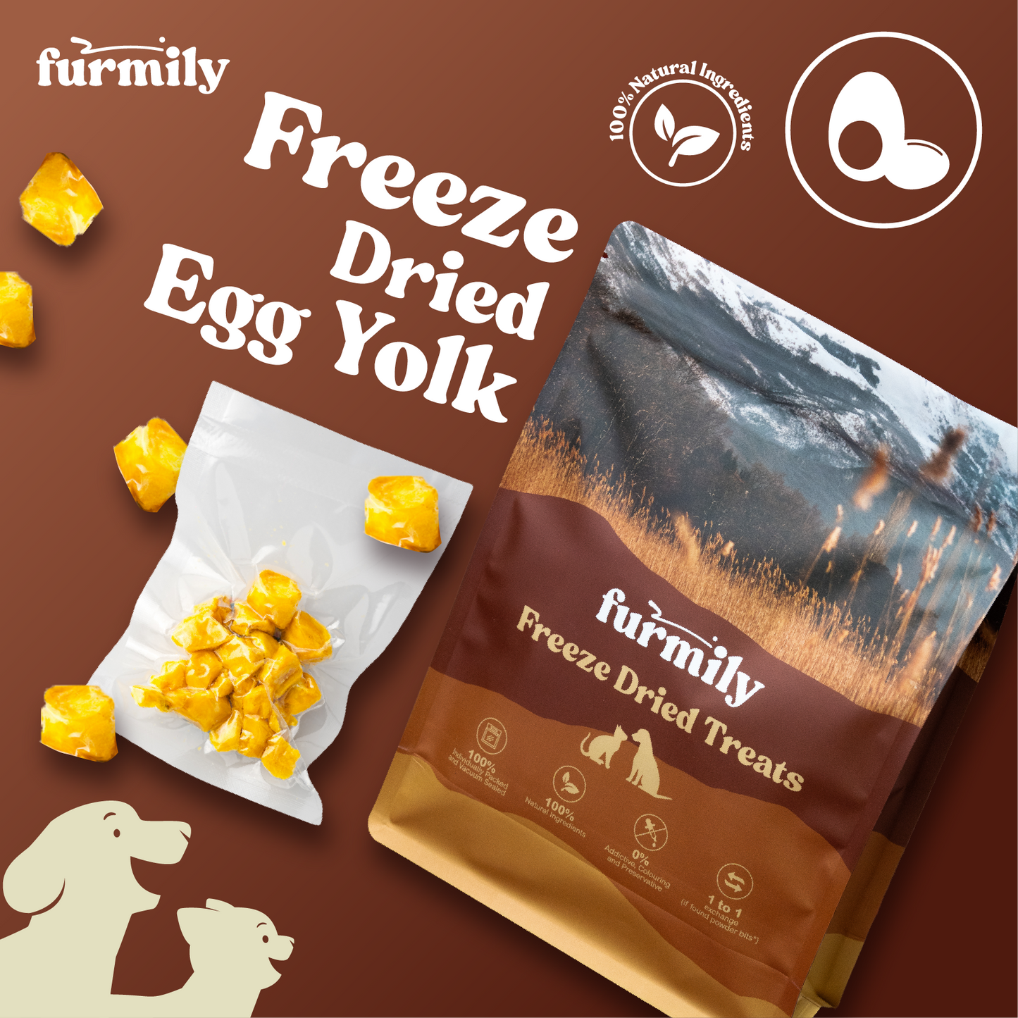 Egg Yolk