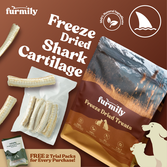 Shark Cartilage