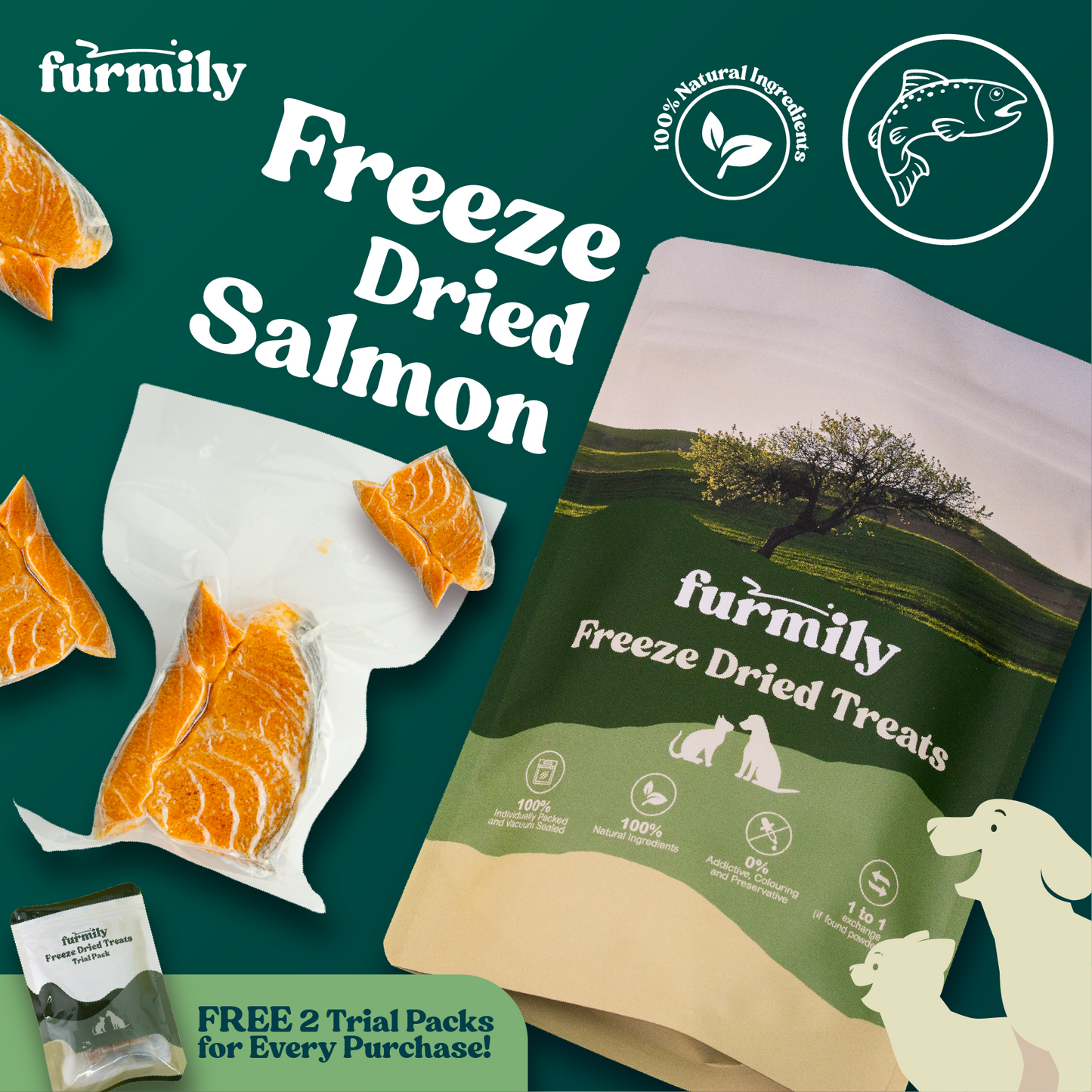 Salmon