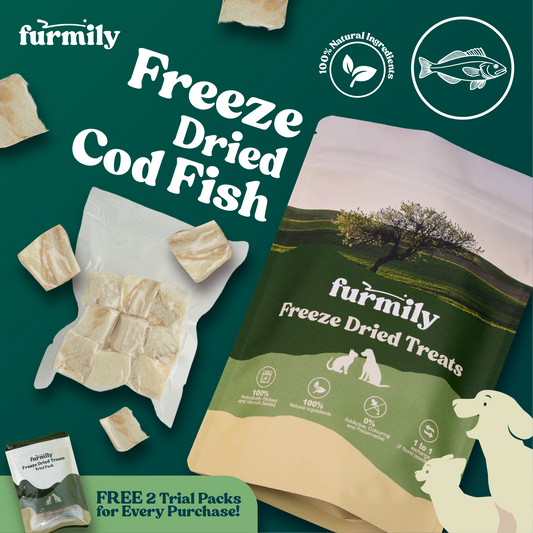 Cod Fish