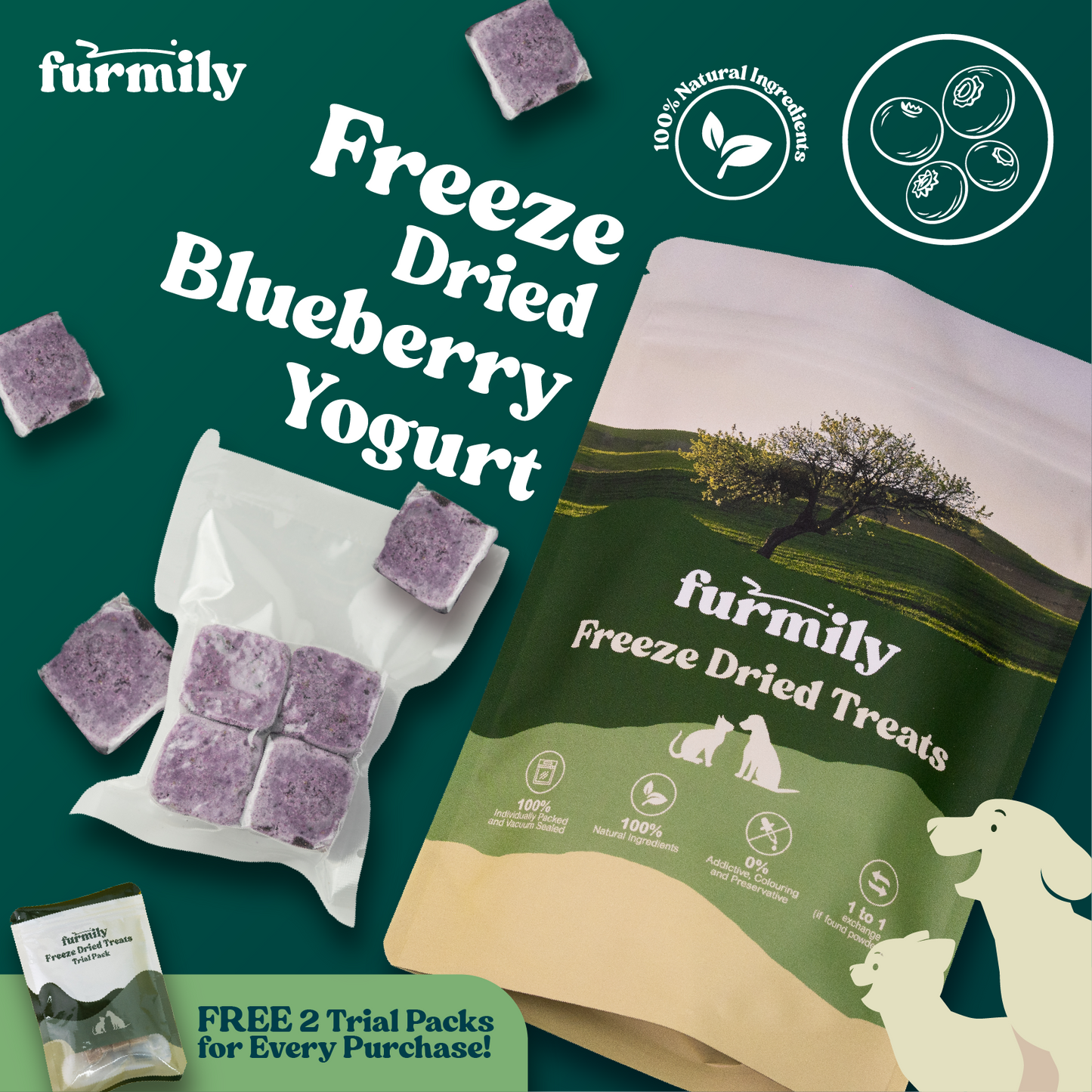 Blueberry Yogurt