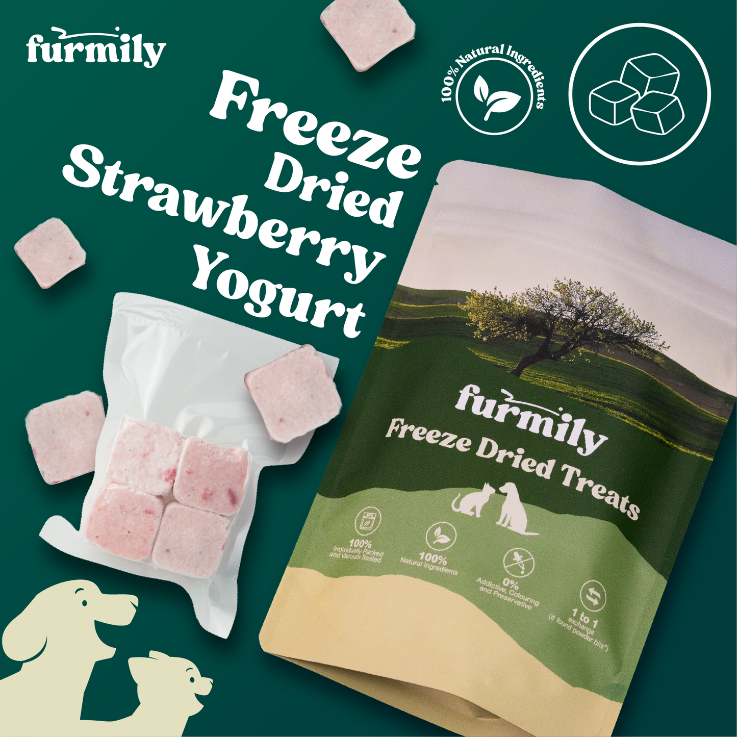 Strawberry Yogurt