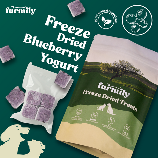 Blueberry Yogurt