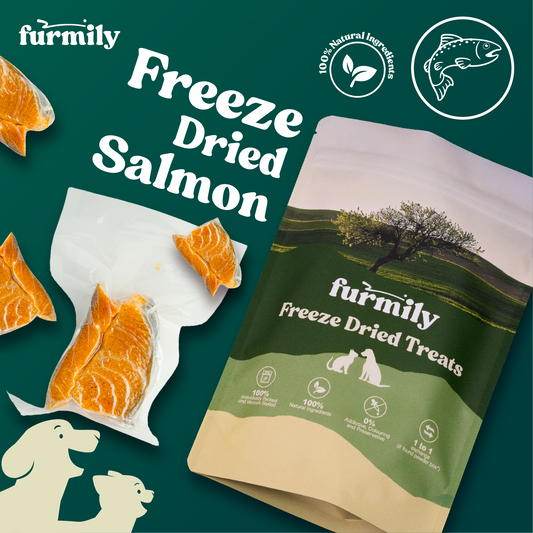 Salmon