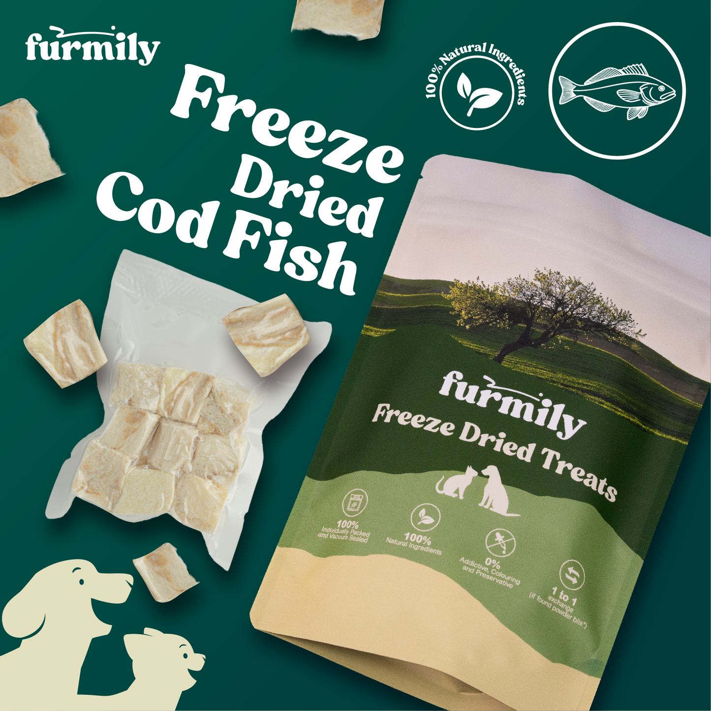 Cod Fish