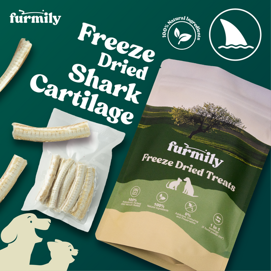 Shark Cartilage