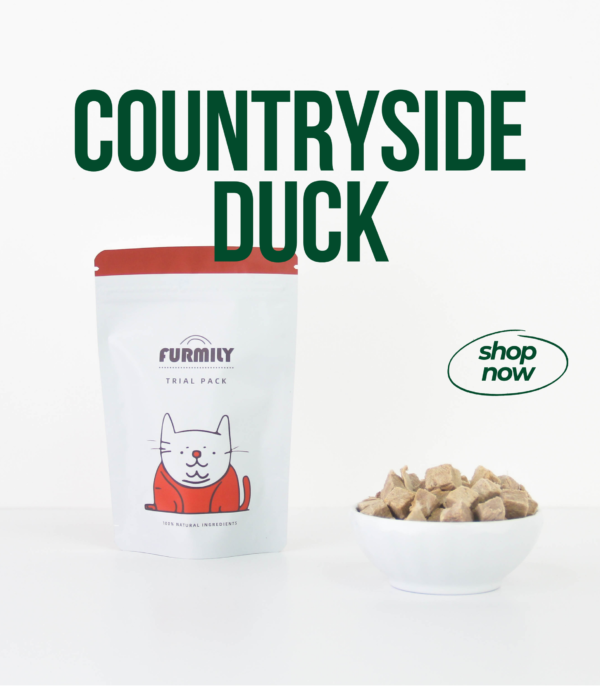 Countryside Duck