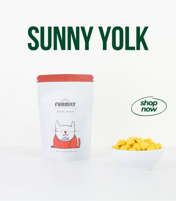 Sunny Yolk