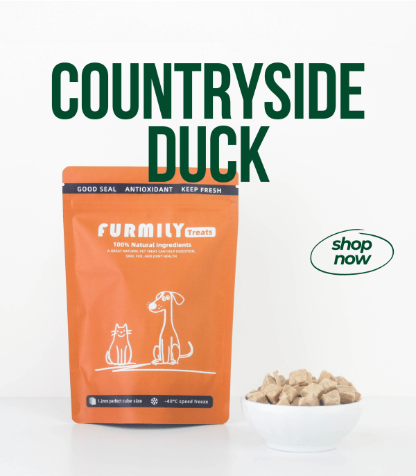 Countryside Duck - Image 2