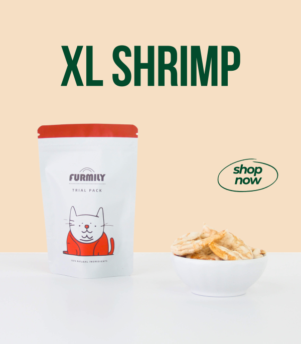 XL Shrimp