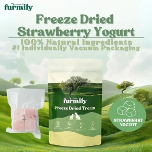 Strawberry Yogurt Cube
