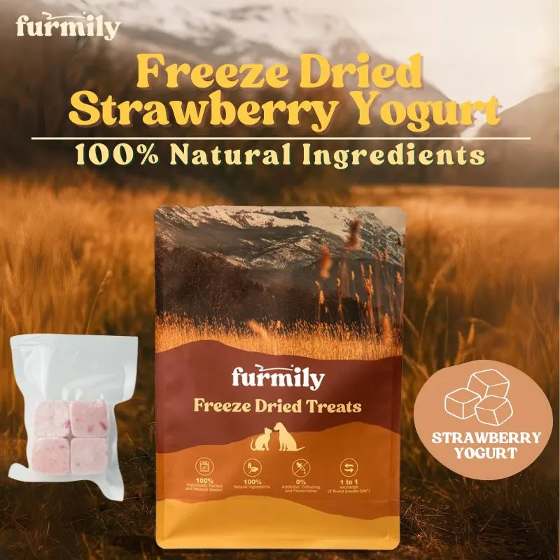 Strawberry Yogurt Cube - Image 3