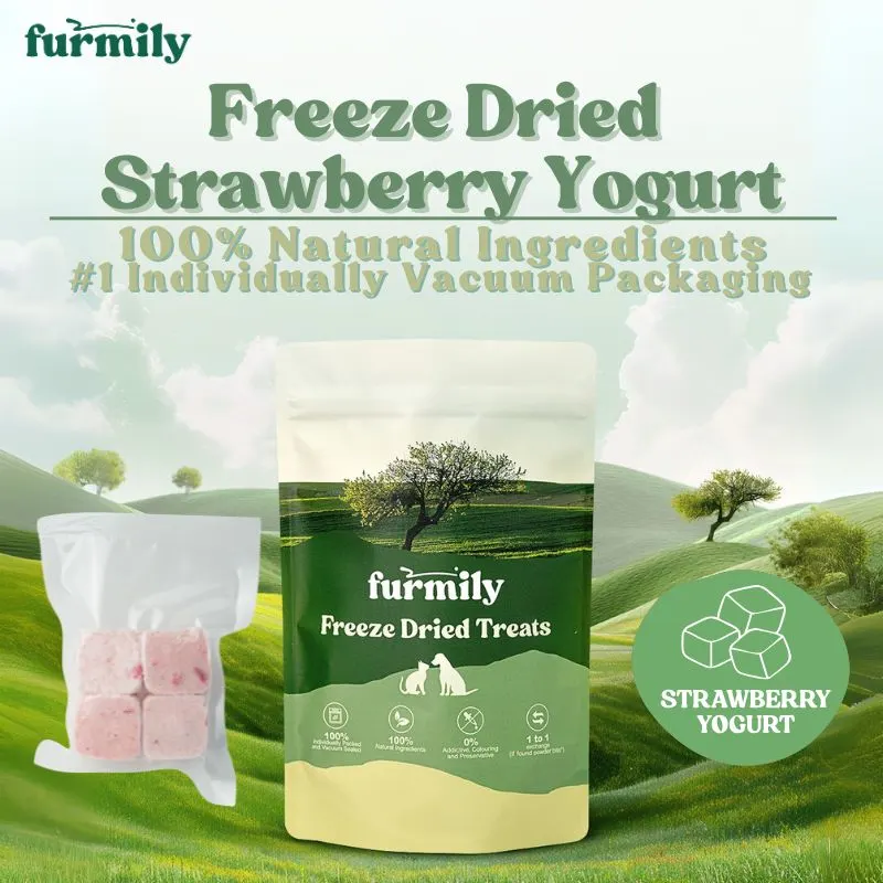 Strawberry Yogurt Cube