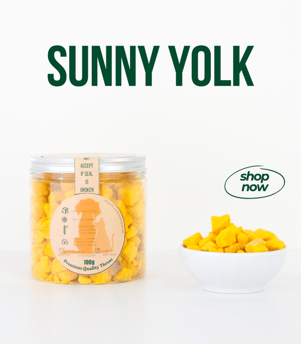Sunny Yolk - Image 3