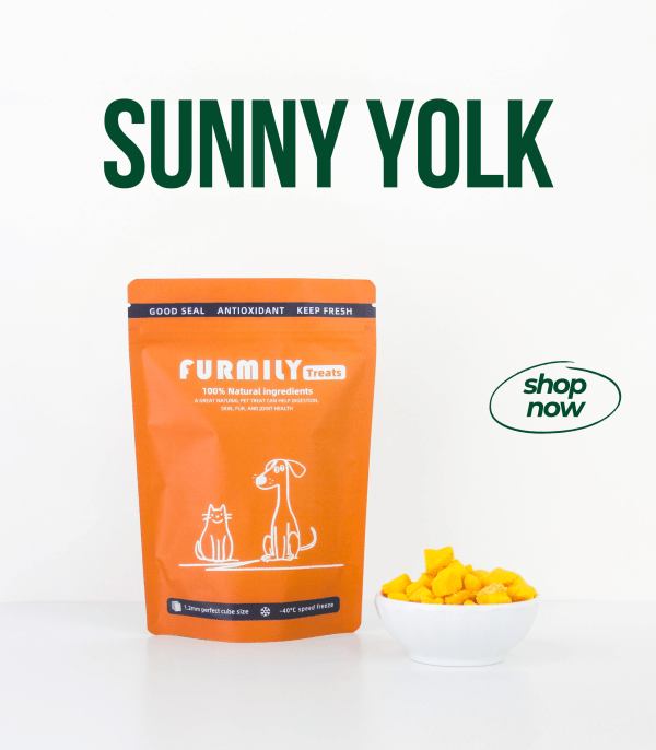 Sunny Yolk - Image 2