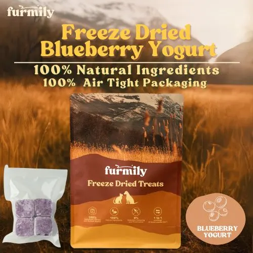 Blueberry Yogurt Cube - Image 3